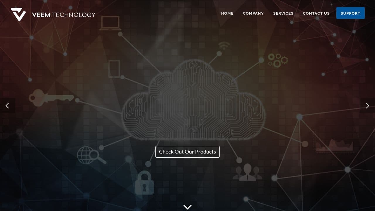 Veem Technology subsidiary of VEEM, LLC website screenshot