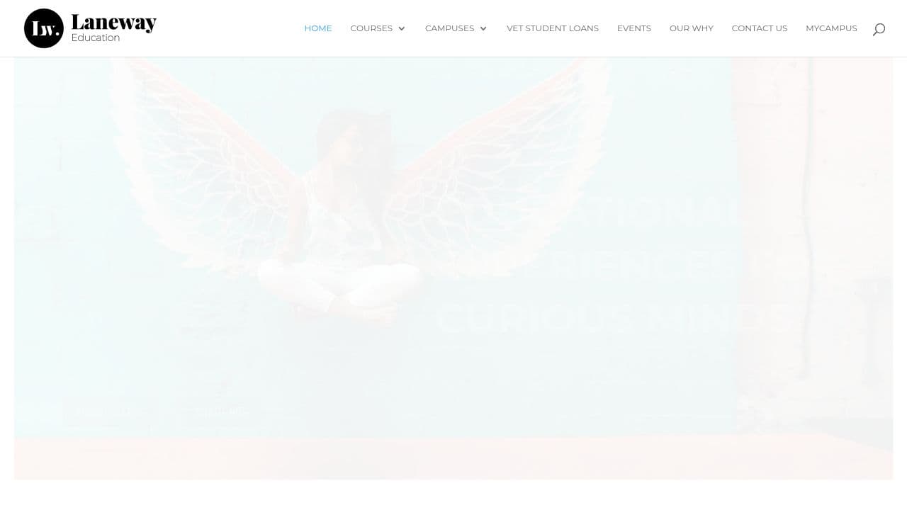 Laneway Education website screenshot