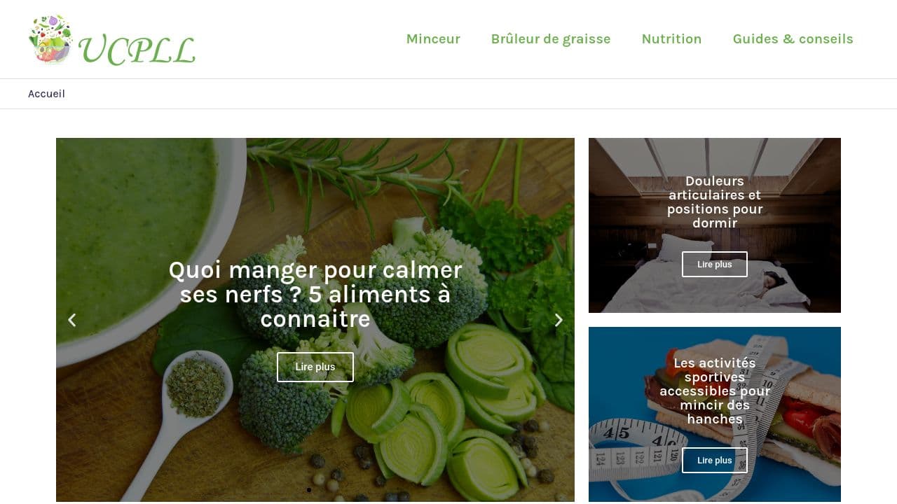 United Cerebral Palsy Land of Lincoln website screenshot