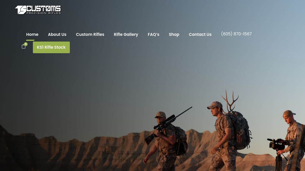 TS Customs website screenshot