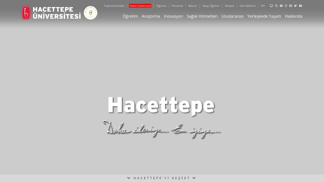 Hacettepe University website screenshot