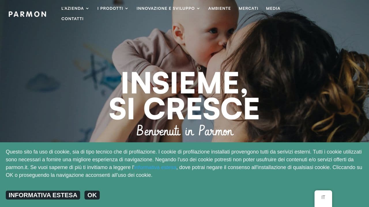 Parmon website screenshot