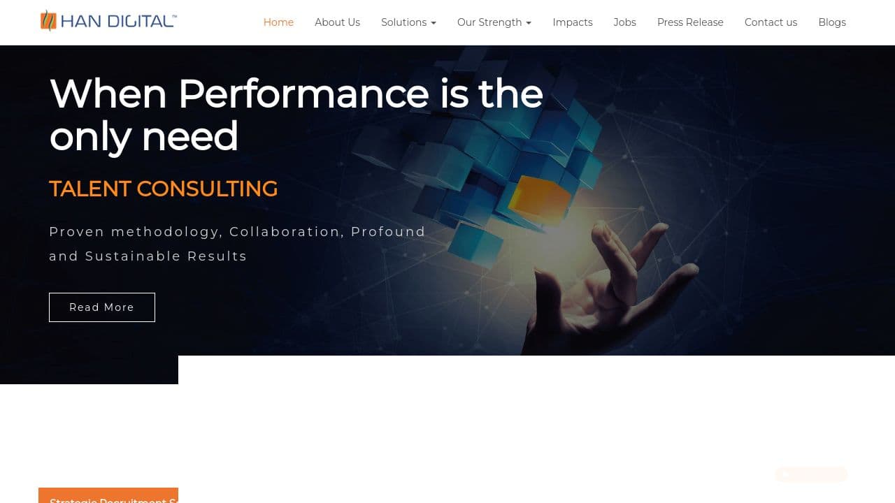 Han Digital Solution website screenshot
